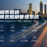 山东滨州沾化城区夜景照明亮化提升工程